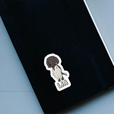 Lia Sticker Munsterlander Notebook Image