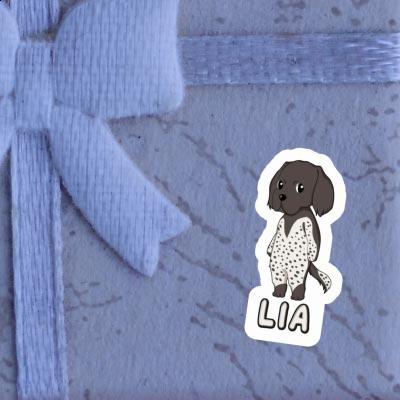 Lia Sticker Munsterlander Gift package Image