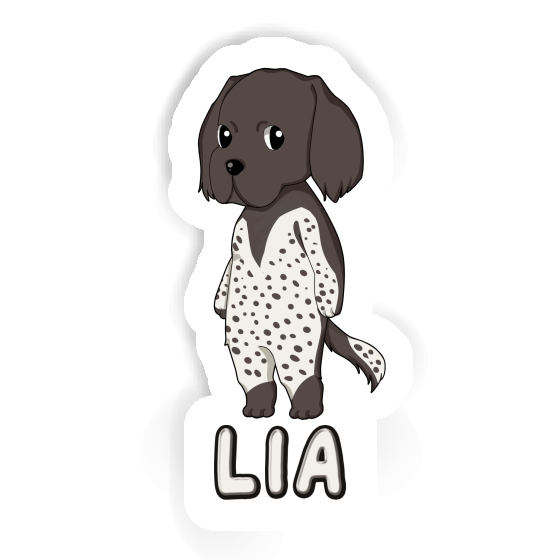 Lia Sticker Munsterlander Image