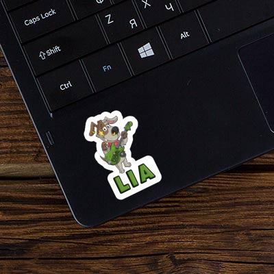 Sticker Lia Guitarist Gift package Image