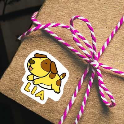 Autocollant Chien Lia Gift package Image