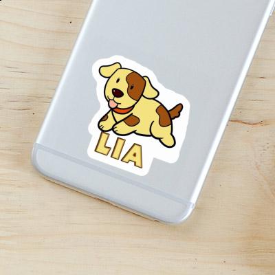 Lia Sticker Dog Gift package Image