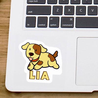 Lia Sticker Dog Gift package Image