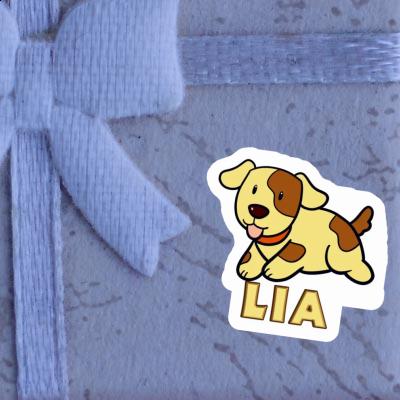 Lia Sticker Dog Laptop Image