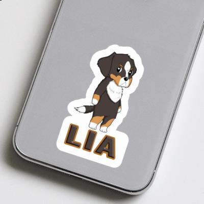 Lia Aufkleber Berner Sennenhund Gift package Image