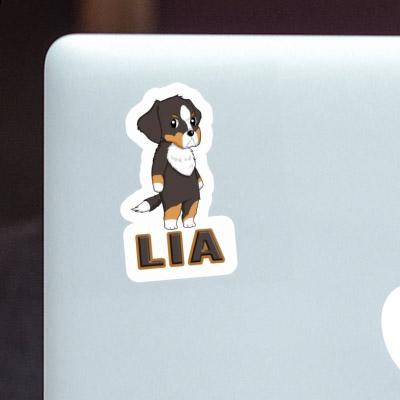 Sticker Bernese Mountain Dog Lia Gift package Image