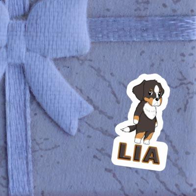 Sticker Bernese Mountain Dog Lia Image