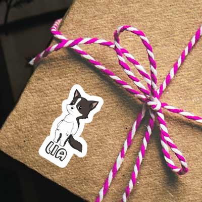 Sticker Border Collie Lia Gift package Image