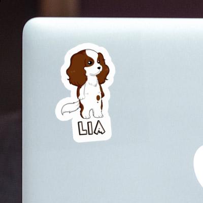 Cavalier King Charles Spaniel Sticker Lia Gift package Image