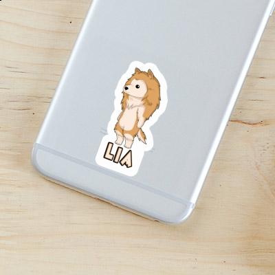 Lia Sticker Collie Gift package Image