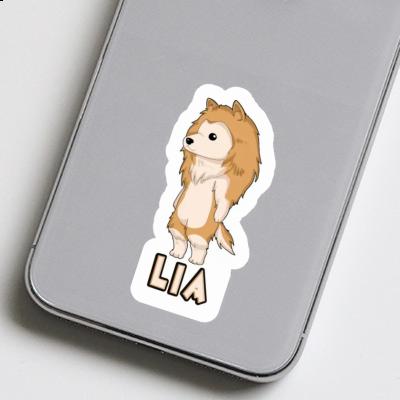 Lia Sticker Collie Image