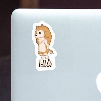 Lia Sticker Collie Gift package Image