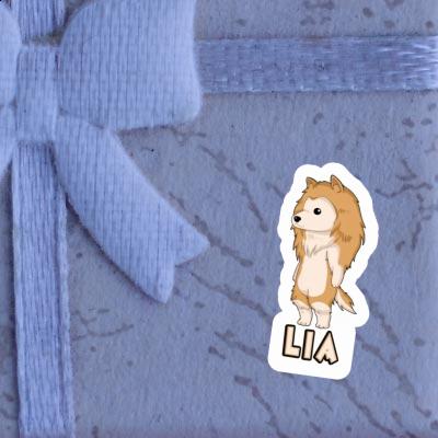 Collie Sticker Lia Gift package Image