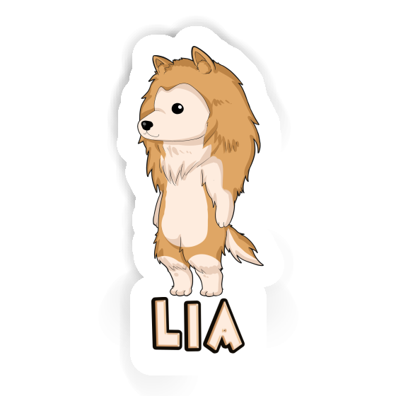 Lia Sticker Collie Laptop Image