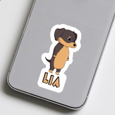 Lia Sticker Dachshund Gift package Image