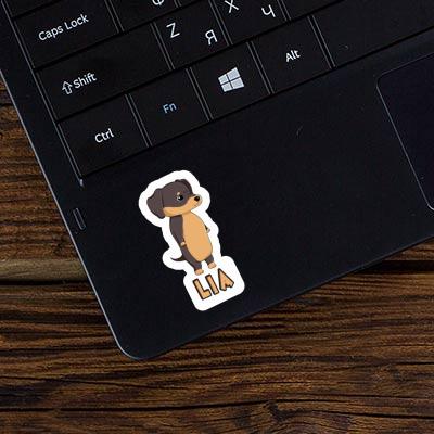 Lia Sticker Dachshund Gift package Image