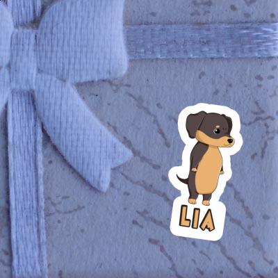 Lia Sticker Dachshund Laptop Image