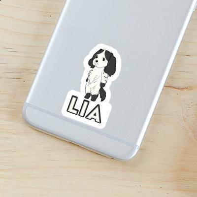 Sticker Lia English Cocker Spaniel Gift package Image