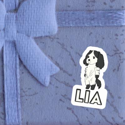 Sticker Lia English Cocker Spaniel Gift package Image