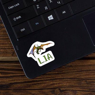 Lia Sticker Dragon Gift package Image