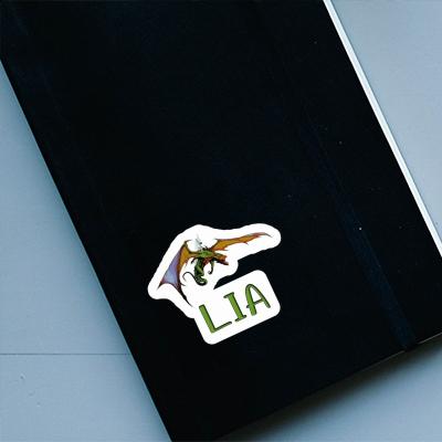 Aufkleber Lia Drache Notebook Image