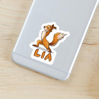 Lia Sticker Yoga Squirrel Gift package Image