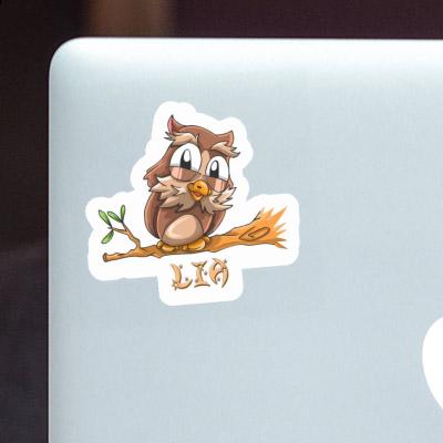 Sticker Lia Owl Laptop Image