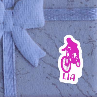 Freeride Biker Aufkleber Lia Gift package Image