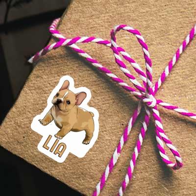 Bouledogue Autocollant Lia Gift package Image