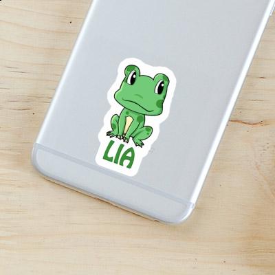 Lia Sticker Frog Gift package Image