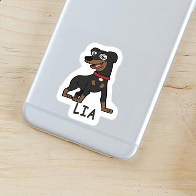 Sticker Lia German Pinscher Image