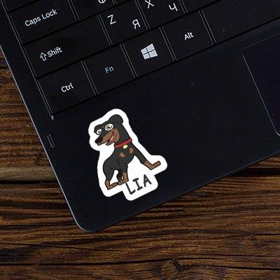 Sticker Lia Pinscher Gift package Image