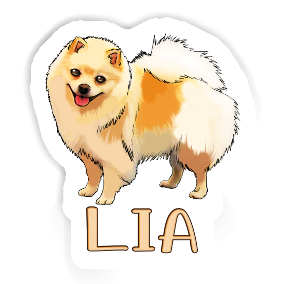 Sticker German Spitz Lia Gift package Image