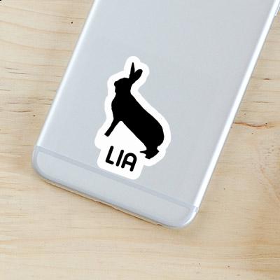 Rabbit Sticker Lia Gift package Image