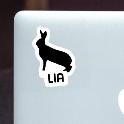 Autocollant Lia Lapin Laptop Image