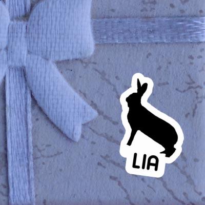 Lia Sticker Hase Gift package Image