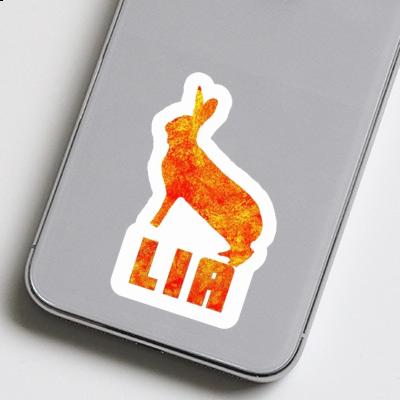 Sticker Kaninchen Lia Laptop Image