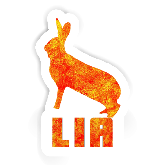 Lia Sticker Rabbit Gift package Image