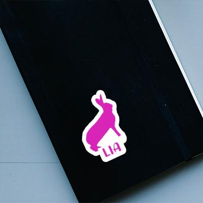 Lapin Autocollant Lia Notebook Image