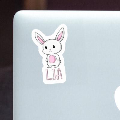 Lia Sticker Hare Gift package Image