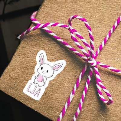 Lia Autocollant Lapin Gift package Image