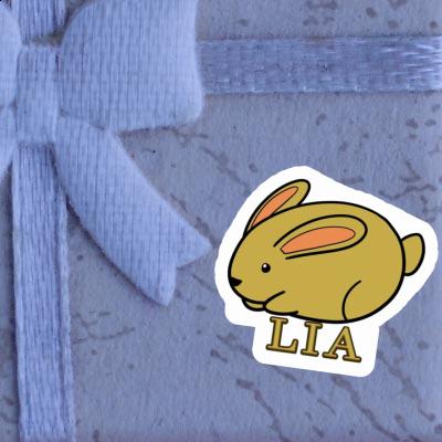 Autocollant Lapin Lia Gift package Image