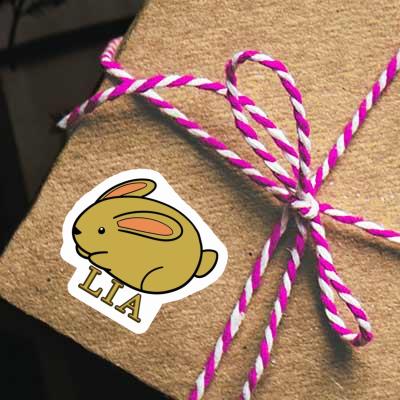 Autocollant Lapin Lia Gift package Image