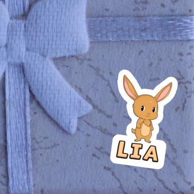 Lia Sticker Hare Gift package Image