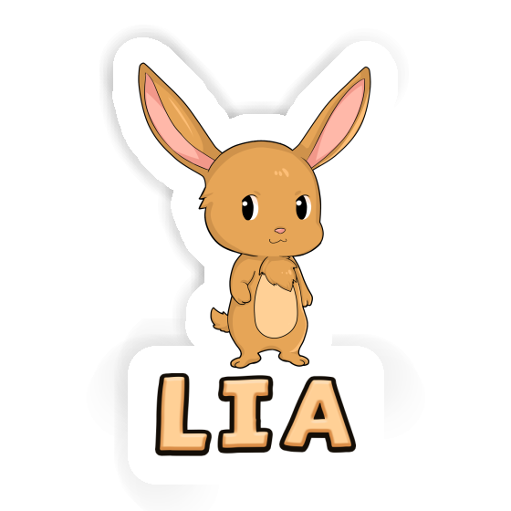 Lia Sticker Hare Notebook Image