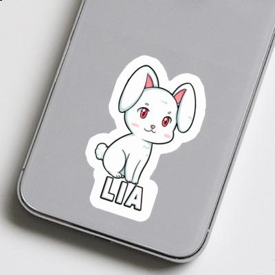 Lia Autocollant Lapin Gift package Image