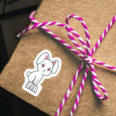 Hare Sticker Lia Gift package Image