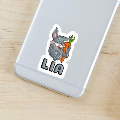 Sticker Lia Easter bunny Laptop Image