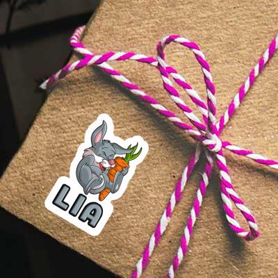 Sticker Lia Easter bunny Laptop Image