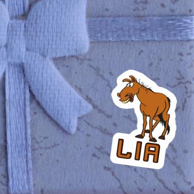 Lia Autocollant Cheval Gift package Image